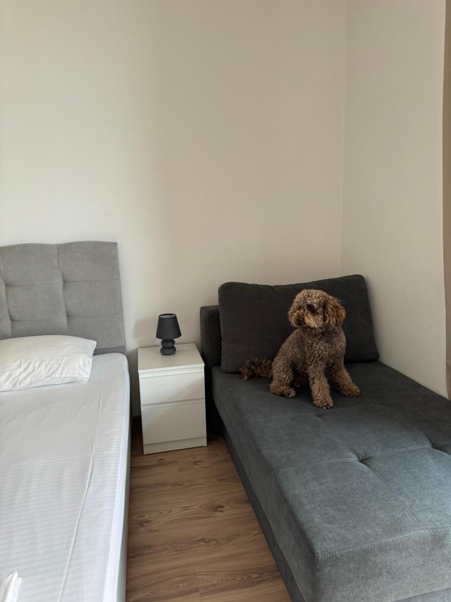 Апартаменти За Гости "Екатерина" Guest Apartments "Ekaterina" Burgas Exteriör bild