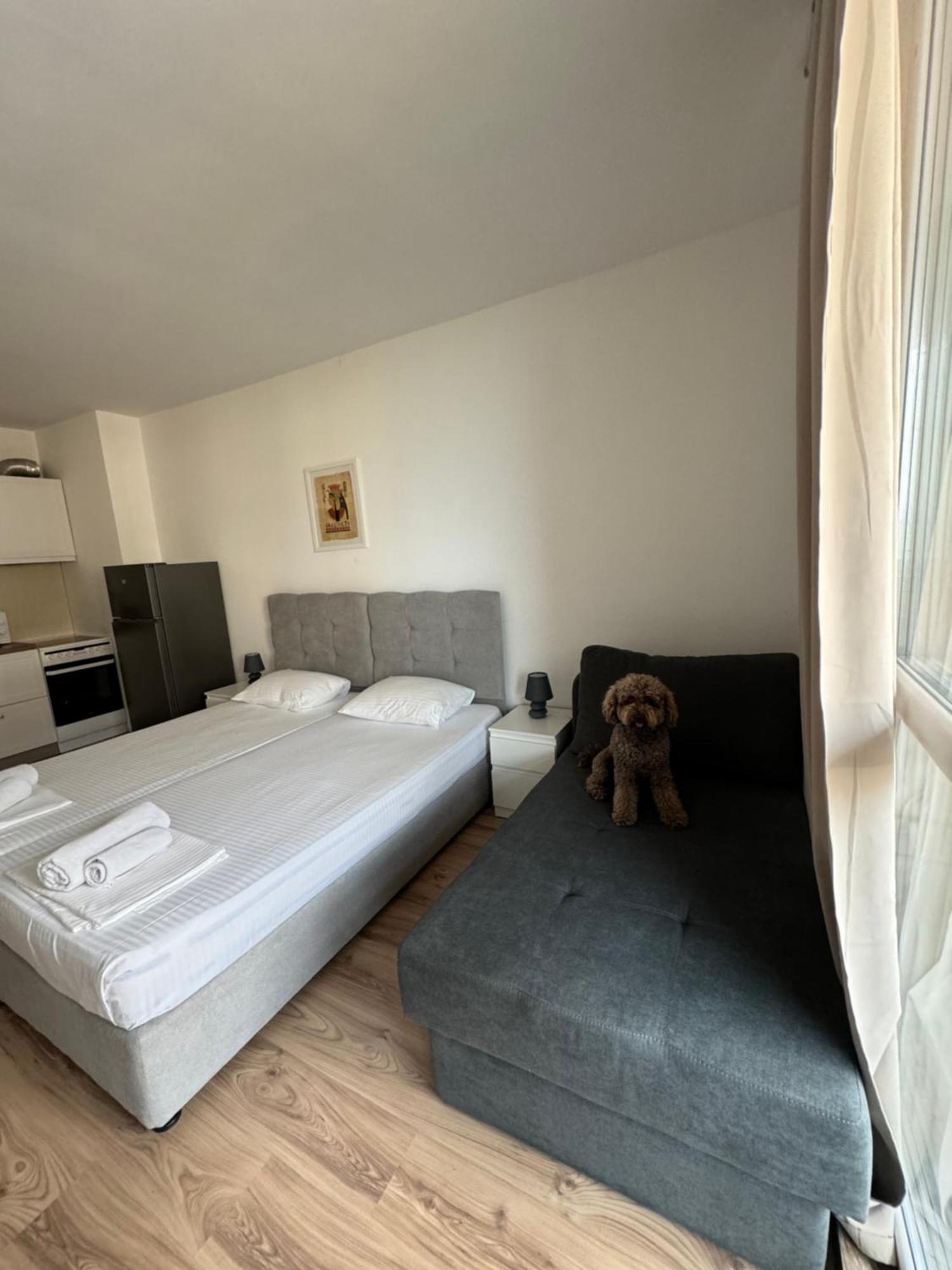 Апартаменти За Гости "Екатерина" Guest Apartments "Ekaterina" Burgas Exteriör bild